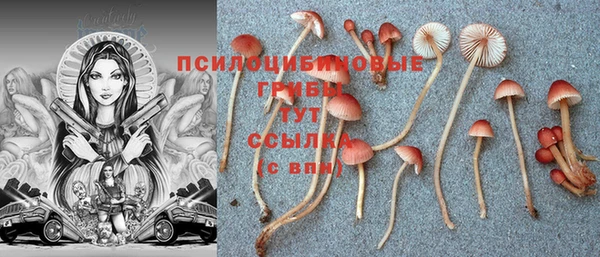трава Кодинск