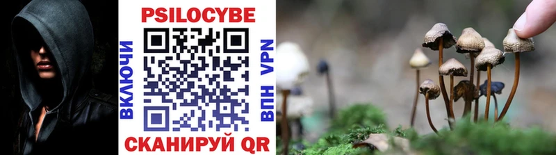 ОМГ ОМГ как зайти  Пыть-Ях  Псилоцибиновые грибы Psilocybe 